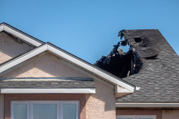 Top rated local Odor Removal specialists in Duvall, WA